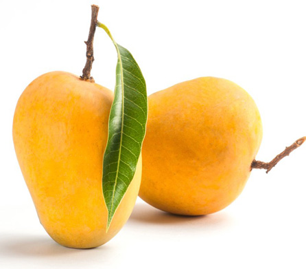 lighting-store-product-3